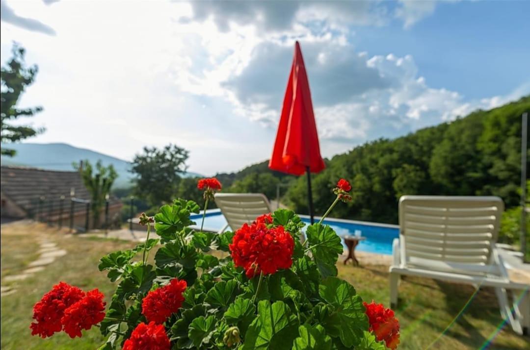 Honey House Villa Grabovac  Luaran gambar
